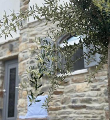 Naxos Apartment | Servena's Damarionas Village