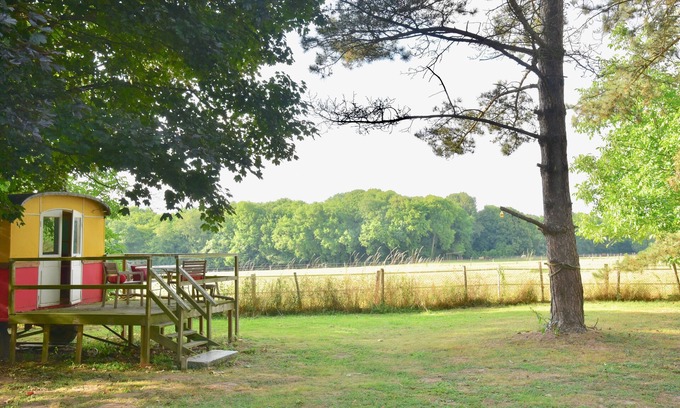 Crecy-en-Brie Apartment | Shanti-Gîte - Nice Gîte 140m² 8 places - Garden 4000 m² - 10mn Disney-35mn Paris