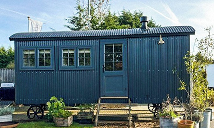 Tilney Fen End Cottage | Shepherds Hut - UK49729