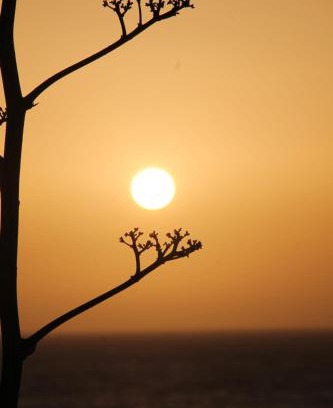 Sidi Kaouki Hotel | SIDI KaouKI PERLA