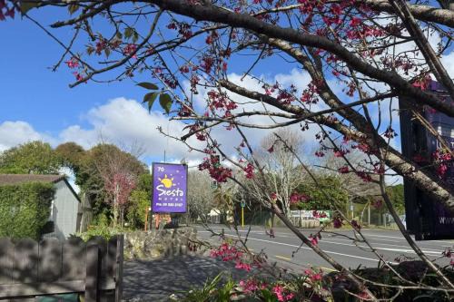 Epsom Hotel | Siesta Motel