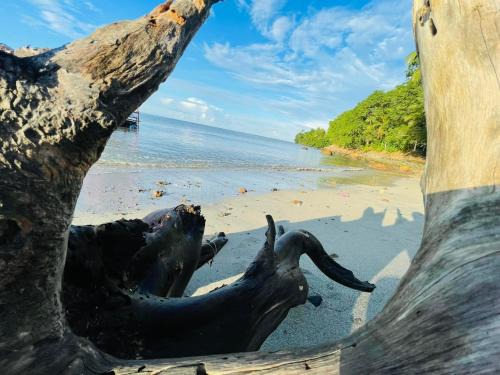 Palimbang House | Simple Living Inn on Farm