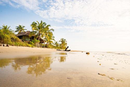 Tanga Other | Simply Saadani Camp, A Tent with a View Safaris