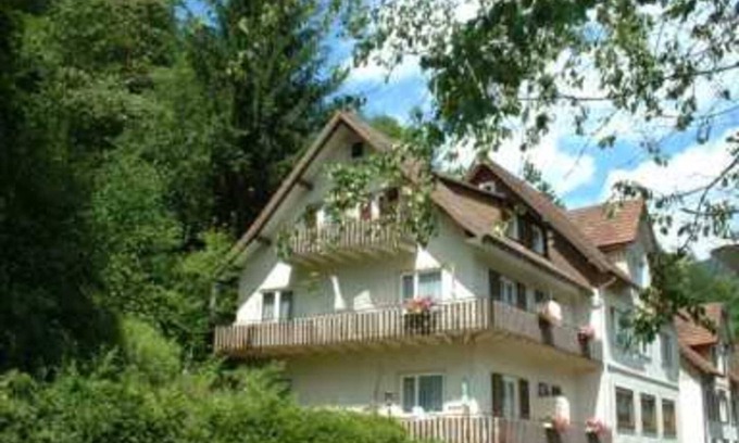 Schoenmuenzach Bed & Breakfast | Single Room 1 - Adieu Everyday life: Pension Oesterle in the Black Forest