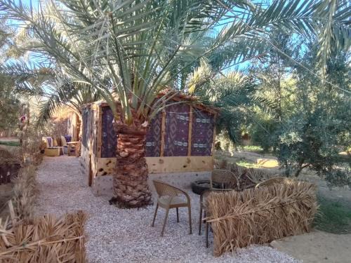 Siwa Cabin | Siwa Gardenia Cottage اكواخ سيوة جاردينيا