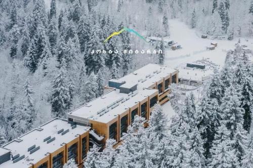 Bakuriani Apartment | ski in ski out apartment in Kokhta-Mitarbi resort