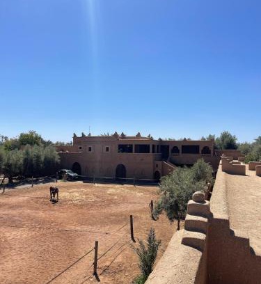 Skoura House | Skoura Ranch Palm Grove