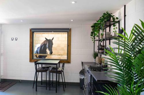 Exeter Apartment | Sleep next to a Horse in a stable by the city !