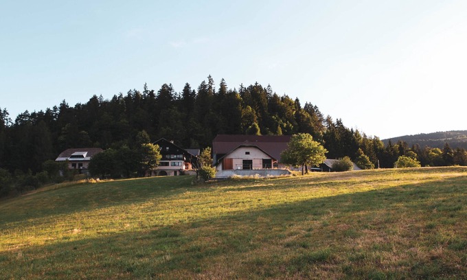 Prevalje Other | -Small apartment- Farm house accommodation with great mountain view