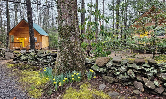 Cosby Cabin | Smoky Mountain Retreat