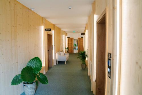 Olimje House | Sobe rooms JELEN JELENOV GREBEN