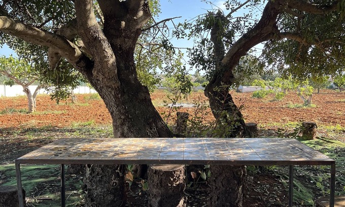 Albufeira Apartment | Solar dos Avós - Studio 2 adults only