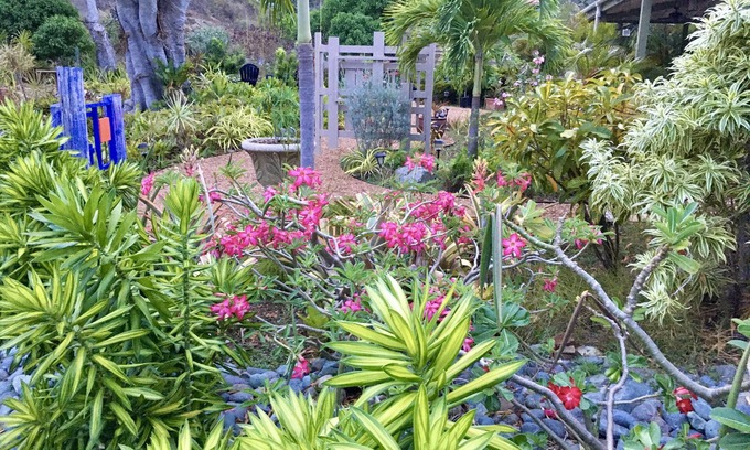 Estate Emmaus Apartment | Solar Power! Easy Access, Great Location, Garden Setting, Walk to Coral Bay