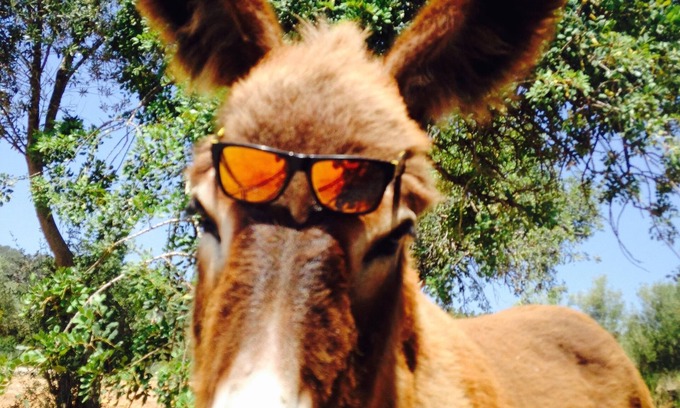 Palma de Mallorca Villa | Son Anglada, villa 10 minutes from the center, nice views, BBQ, wifi, Ac, Pool