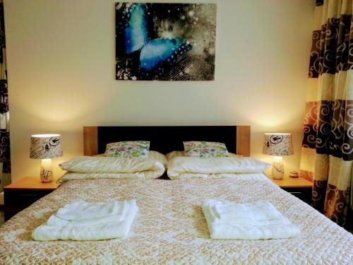 Dlugopole-Zdroj Apartment | Spa Park Guest Rooms
