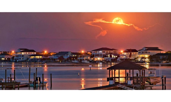 Shell Island House | Spacious single level - Side by side Duplex Elevator - Quiet North End