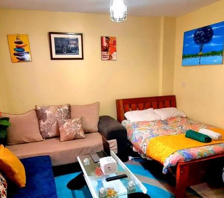 Nairobi Apartment | spacious studio apartment, bedsitter along TRM drive