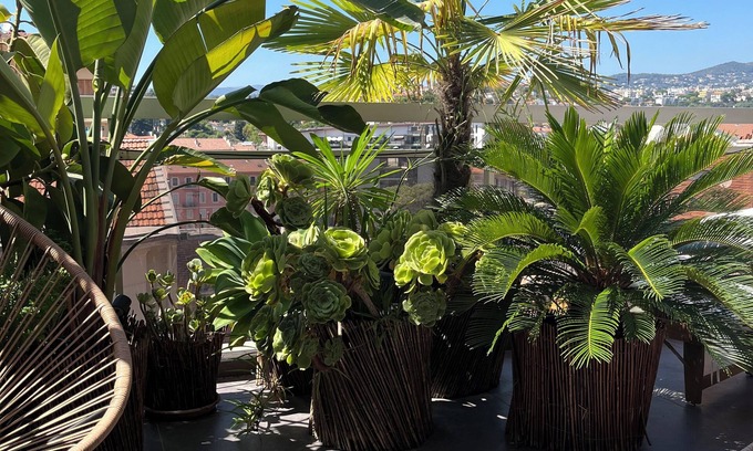 Riquier Apartment | Splendid, comfortable penthouse in the heart of Nice.