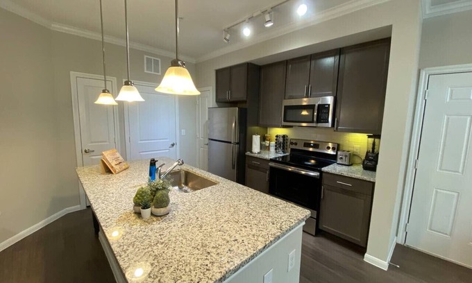 Spring Apartment | Spring Cozy Modern 1BR Longterm stay