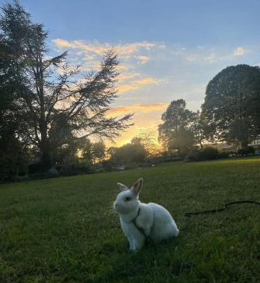 Iserlohn Apartment | Stadtmitte-Iserlohn