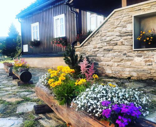 Mala Upa House | Stará škola