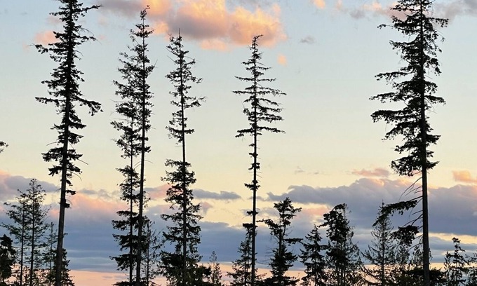Roberts Creek Cabin | Stargazer & hikers paradise tiny house getaway on Big Sky Tiny Ranch