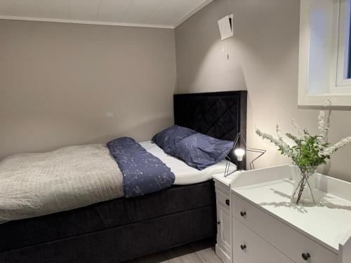 Odda House | StarView Trolltunga Apartment