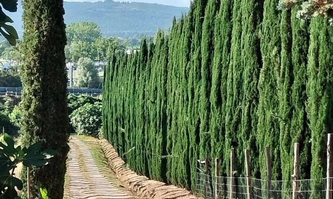 Rapolano Terme House | Stay in the countryside a stone's throw from the spa