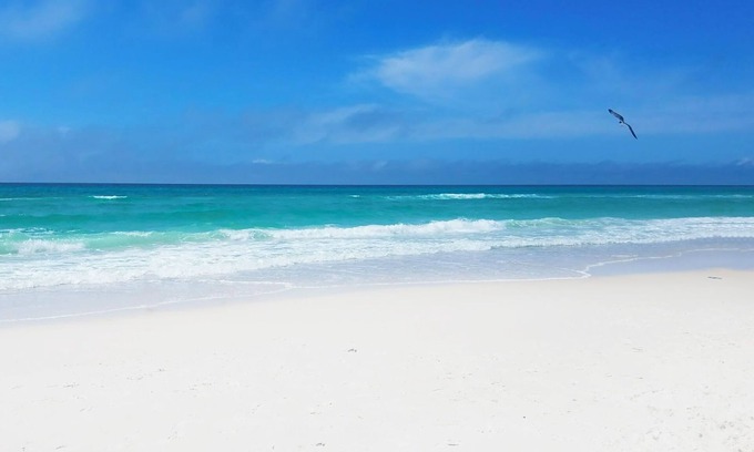 Bel Air House | 🏖️Steps to the Beach | Free Parking | Community Pool | Seaview Village #8🏖️