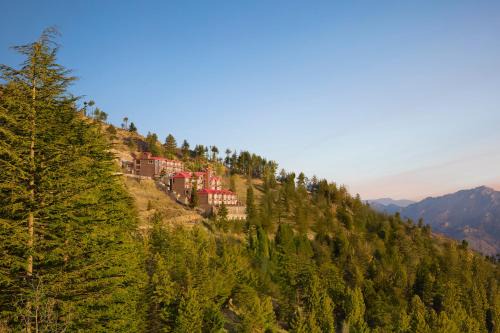 Theog Hotel | Storii By ITC Hotels, Narindera Orchards, Kufri