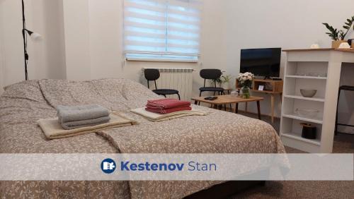 Vrsac Apartment | Studi-apartman Kestenov stan