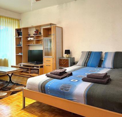 Monthey Apartment | Studio Anémones, meublé, équipé, Monthey