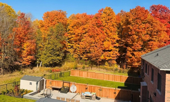 Caledon Apartment | Studio Apartment in the heart of Caledon