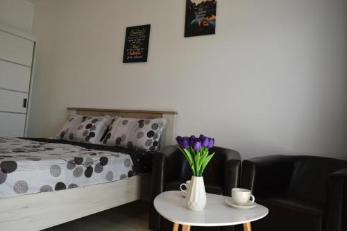 Sinpetru Apartment | Studio C&L