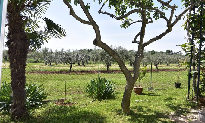 Krizine Apartment | Studio flat Sveti Ivan, Umag (AS-22472-a)