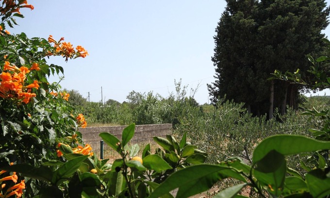 Susica Apartment | Studio flat with terrace Sušica, Ugljan (AS-8265-a)