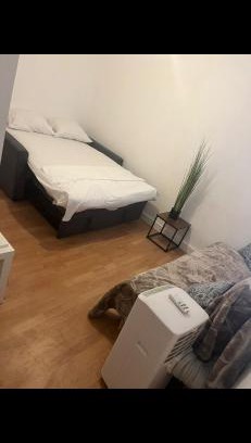 La Cabucelle Apartment | Studio
