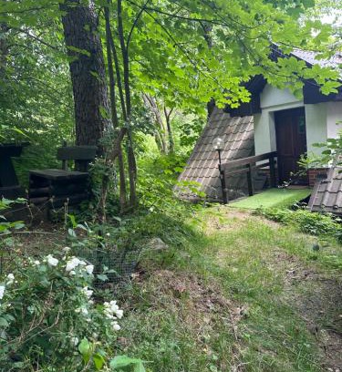 Kamienna Gora House | Studio Gościnne ANTEK