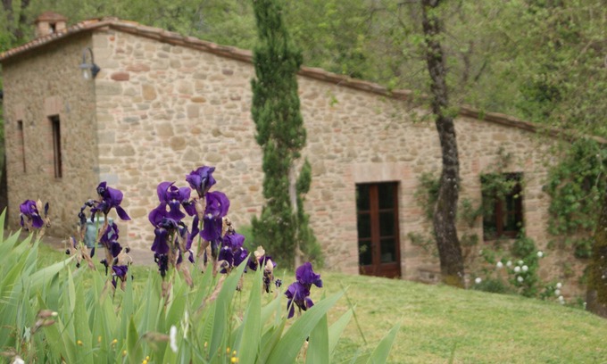 Gaiole in Chianti Cottage | Studio in Chianti Villa in heart of Tuscany, super-large pool, 14 ha property