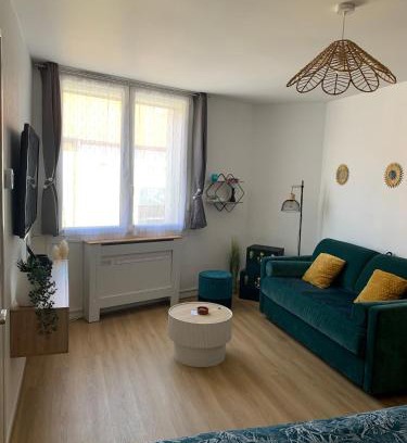 Le Boulou Apartment | Studio spacieux climatisé