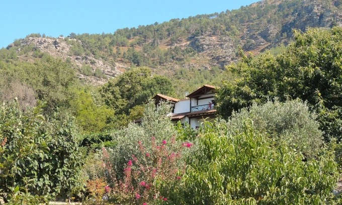 Megalos Prinos Apartment | Studio with Amazing Mountain Views in Traditional Thassian Estate !