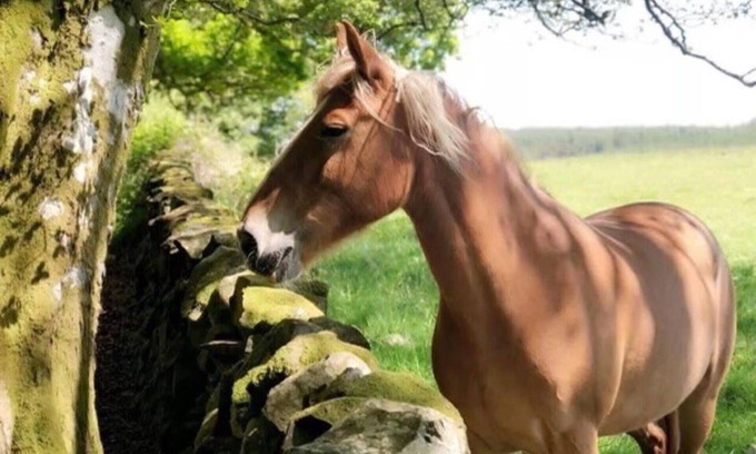 Balminnoch Apartment | Stunning 2-bed Apartment in Newton Stewart
