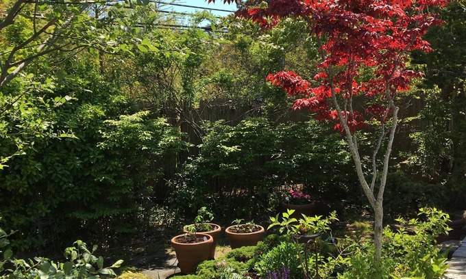 Fire Island Pines House | Stunning Fire Island Pines Oasis!