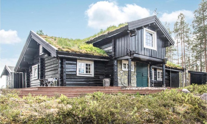 Trysil House | Stunning Home In Østby With Kitchen