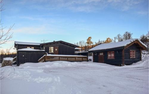 Nore og Uvdal House | Stunning Home In Uvdal With Wifi