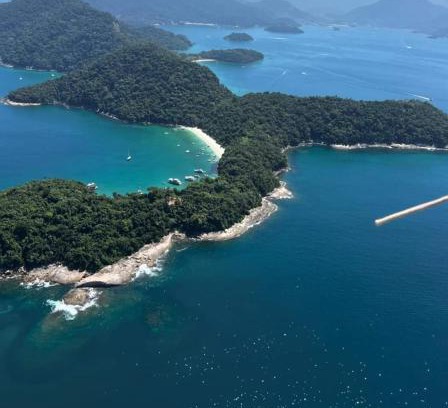 Biscaia House | Suite - mata atlântica e praia