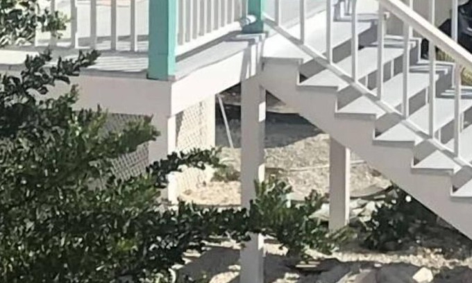 Deadmans Cay Apartment | Sunset Studio Cottage/ Hilltop/Sea views