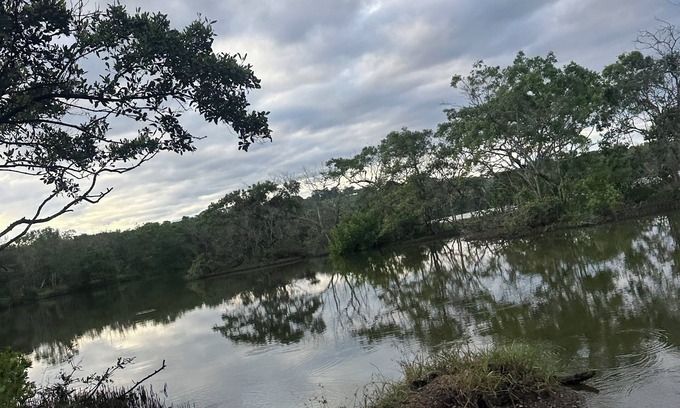 Cerro Plano Villa | Sunset views with Macaws in the jungle in beautiful Bajamar