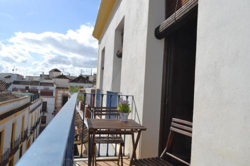 Cordoba Old City Apartment | Sunshine Patio de Fernando Colon