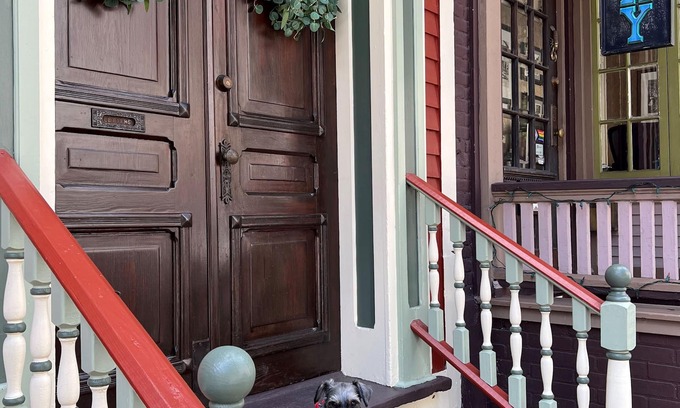 Ashfield Apartment | Swiss Suite in Downtown JT Near Opera House with Parking. Dog Friendly-Check 1st